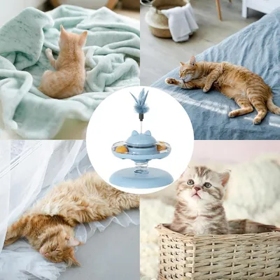 Petopia Jouet pour chat