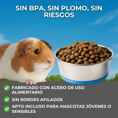 IntiMeg Mangeoire antidérapante pour chats et petits chiens