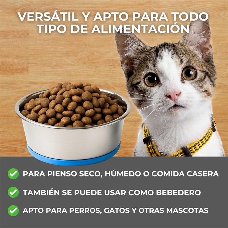 IntiMeg Mangeoire antidérapante pour chats et petits chiens