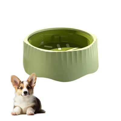 Petopia Gamelle anti - glouton pour chien