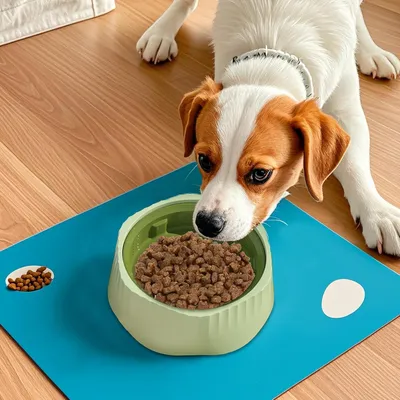 Petopia Gamelle anti - glouton pour chien