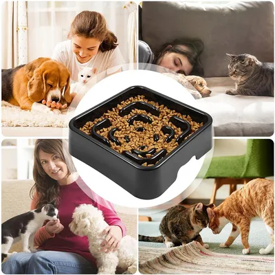 Pet Planet Gamelle anti - glouton pour chien
