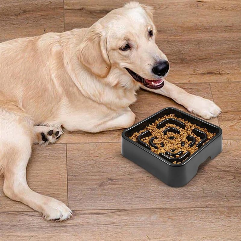 Pet Planet Gamelle anti - glouton pour chien