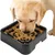 Pet Planet Gamelle anti - glouton pour chien