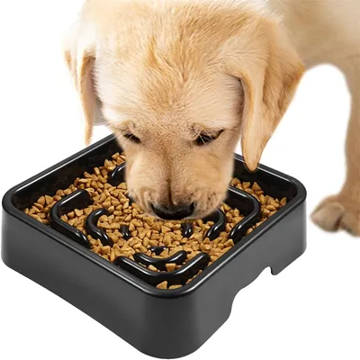 Pet Planet Gamelle anti - glouton pour chien