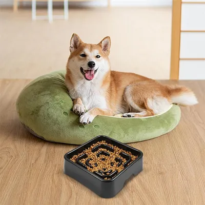 Pet Planet Comedero para perros antitragantamiento