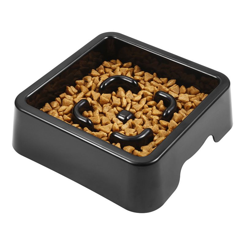 Pet Planet Gamelle anti - glouton pour chien