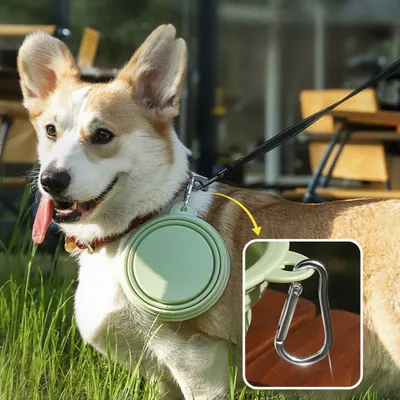 Petopia Lot de gamelles pliables en silicone pour chiens et chats