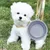 Petopia Lot de gamelles pliables en silicone pour chiens et chats