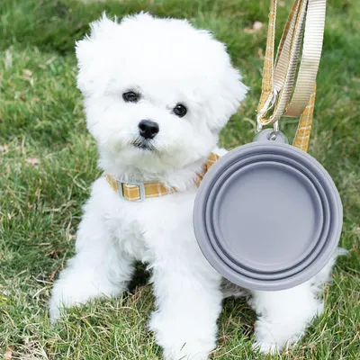 Petopia Lot de gamelles pliables en silicone pour chiens et chats