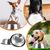 Gamelles pour chiens en acier inoxydable