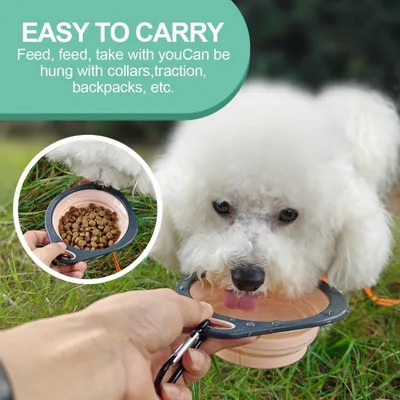 Petopia Gamelle pliable pour chien