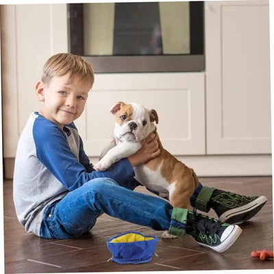 Petopia Gamelle pliable pour chien