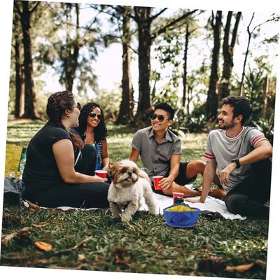 Petopia Gamelle pliable pour chien