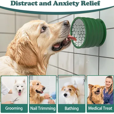 Gamelle à lécher en silicone pour chien, gamelle à alimentation lente