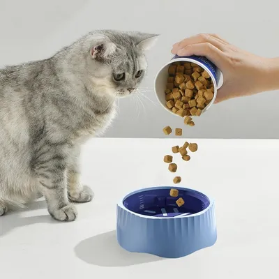 Petopia Gamelle anti - glouton pour chien