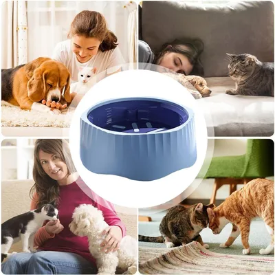 Petopia Gamelle anti - glouton pour chien