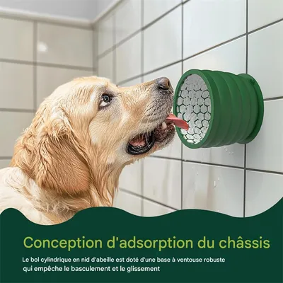 Pet Planet Mangeoire anti - glouton pour chien