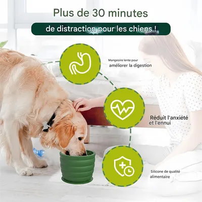 Pet Planet Mangeoire anti - glouton pour chien