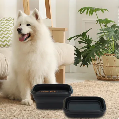 Petopia Gamelle pliable pour chien