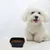 Petopia Gamelle pliable pour chien