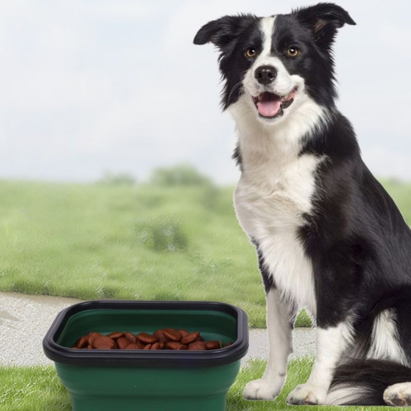 Petopia Gamelle pliable pour chien