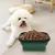 Petopia Gamelle pliable pour chien