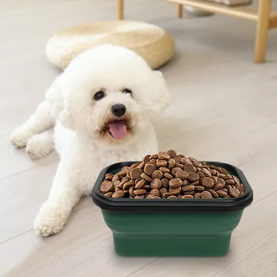 Petopia Gamelle pliable pour chien
