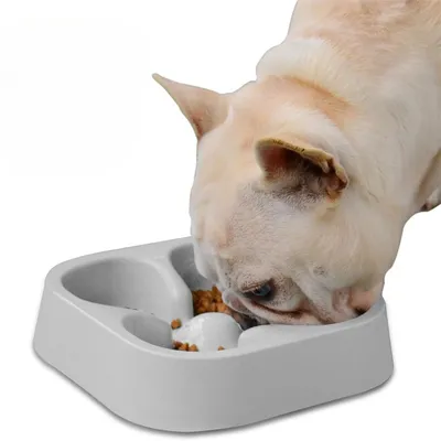 IntiMeg Gamelle à alimentation lente pour chien