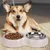 IntiMeg Gamelle double anti - glouton pour chien et chat