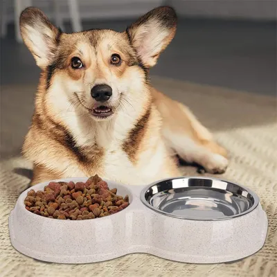 IntiMeg Gamelle double anti - glouton pour chien et chat