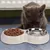 IntiMeg Gamelle double anti - glouton pour chien et chat