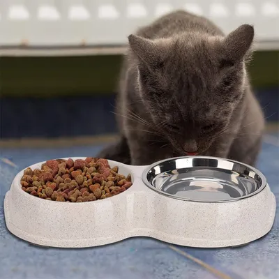 IntiMeg Gamelle double anti - glouton pour chien et chat