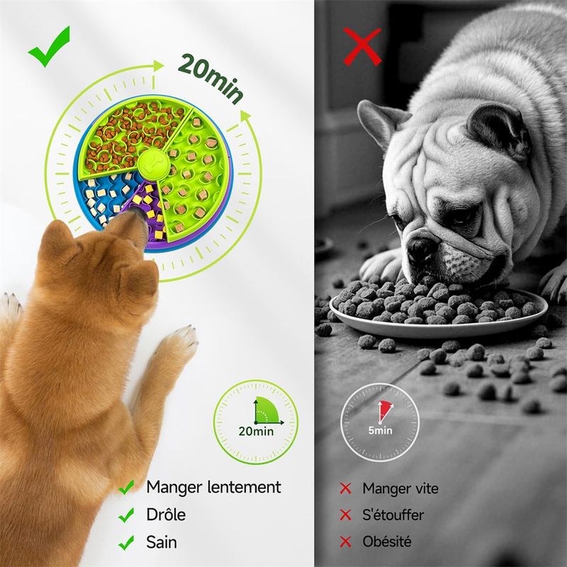 Pet Planet Gamelle anti - glouton et jouet interactif pour chien