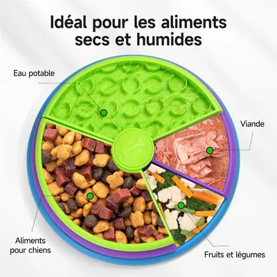 Pet Planet Gamelle anti - glouton et jouet interactif pour chien