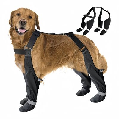 FurryFusion Bottes de pluie pour chien à sangles réfléchissantes