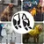 FurryFusion Regenstiefel für Hunde mit reflektierenden Riemen FurryFusion Regenstiefel für Hunde mit reflektierenden Riemen