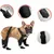 FurryFusion Regenstiefel für Hunde mit reflektierenden Riemen