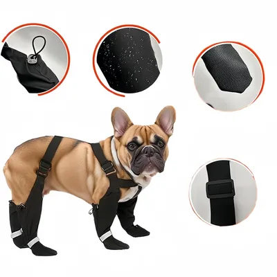FurryFusion Regenstiefel für Hunde mit reflektierenden Riemen FurryFusion Regenstiefel für Hunde mit reflektierenden Riemen