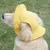 Petopia Chapeau pour chien Petopia Chapeau pour chien