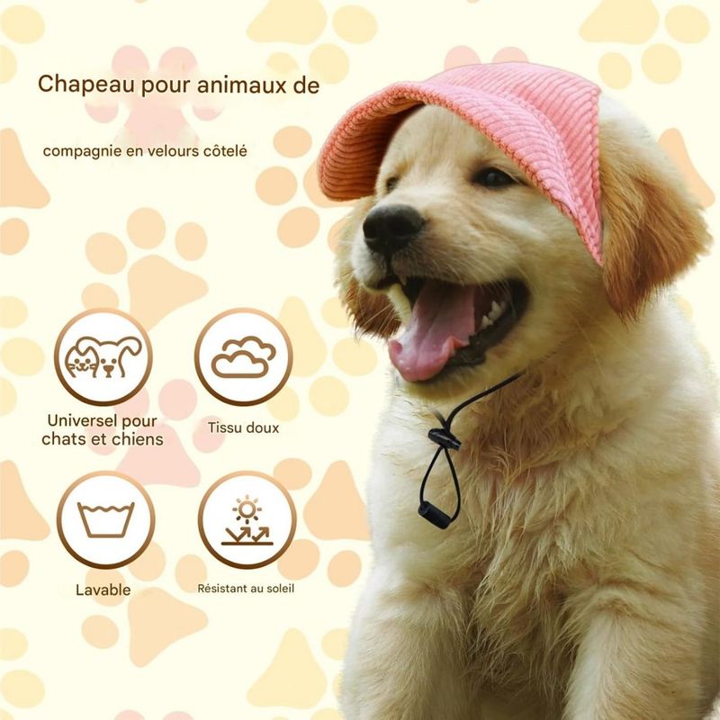 Petopia Chapeaux pour chat et chien