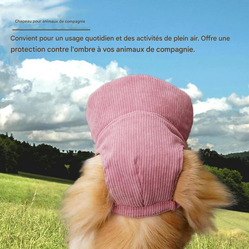 Petopia Chapeaux pour chat et chien