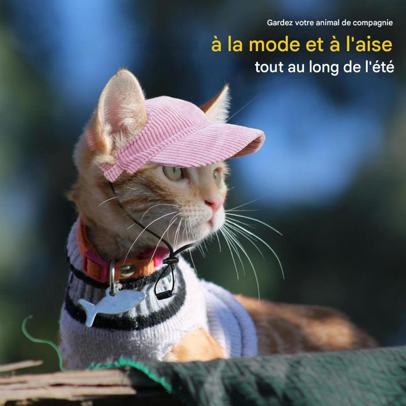 Petopia Chapeaux pour chat et chien
