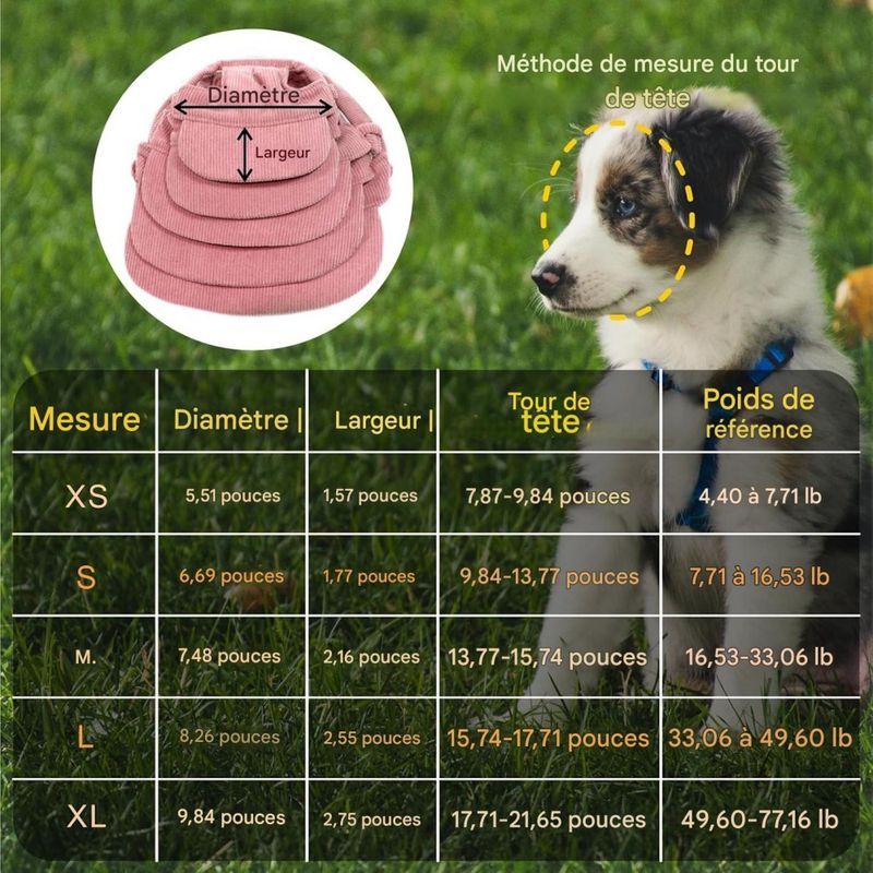 Petopia Chapeaux pour chat et chien