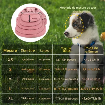 Petopia Chapeaux pour chat et chien Petopia Chapeaux pour chat et chien