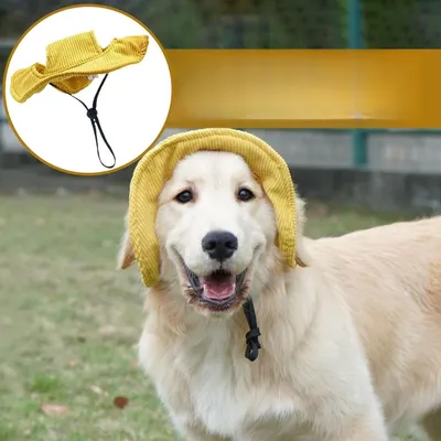 Petopia Chapeau pour chien Petopia Chapeau pour chien