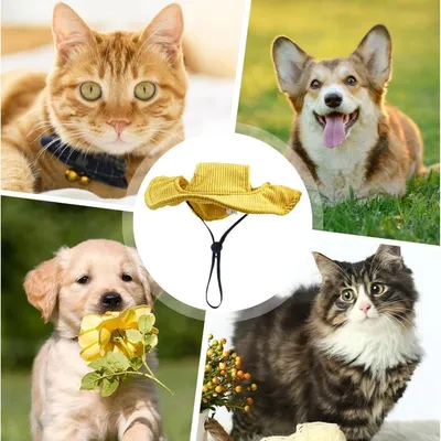 Petopia Chapeau pour chien Petopia Chapeau pour chien