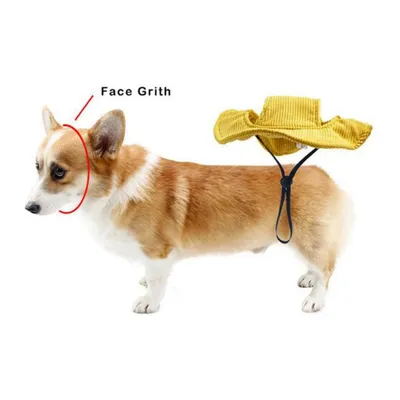 Petopia Chapeau pour chien Petopia Chapeau pour chien