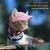 Petopia Chapeaux pour chat et chien Petopia Chapeaux pour chat et chien