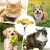 Petopia Chapeau pour chien Petopia Chapeau pour chien